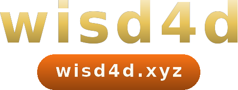 wisd4d logo
